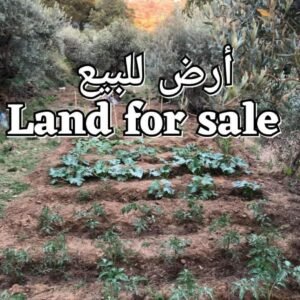 Land for Sale in Aley, Aindrafel (2,400 sqm)